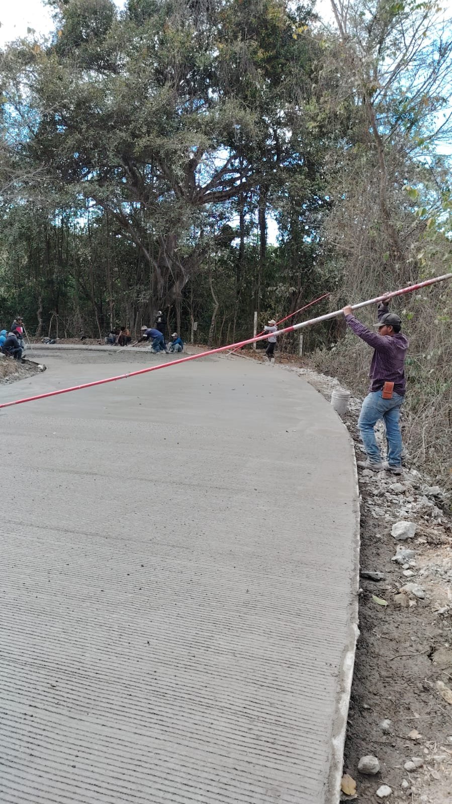 Reporte 06/04/2026